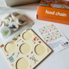 food chain