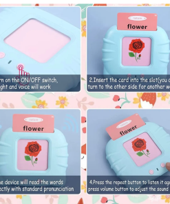 Educational Talking Flash Cards