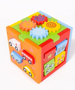 Multifunctional Intelligence Box
