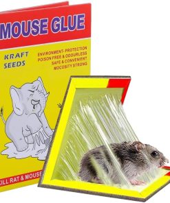 Rat Trap Pad