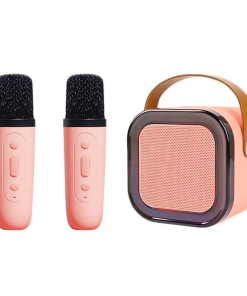 Karaoke Speaker with 2 Wireless Mike